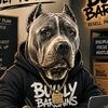 bullybargins